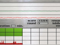 EEG Biofeedback wideogry